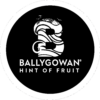 Ballygowan Hint of Fruit Logo